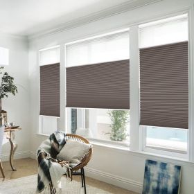 WELLSOURCE Manual Cordless Day and Night Cellular Shades Non Blackout Light Filtering Honeycomb Fabric for Home, Office, Hotel, Club, Restaurant Custo (Color: Brown, size: CUSTOM SIZE)